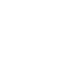 icon logo 2